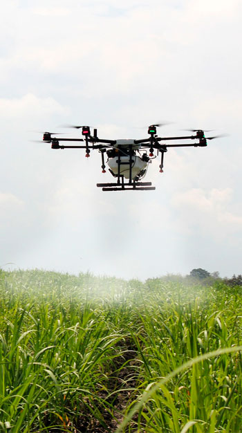agricultura-con-drones-Aplicación-áreas-cultivo
