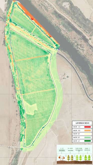 Multiespectral cultivo