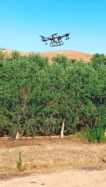 Aplicación en olivar